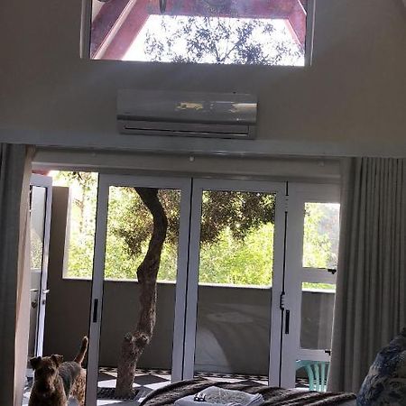 Bella Blue Guesthouse บลูมฟอนเทน ภายนอก รูปภาพ