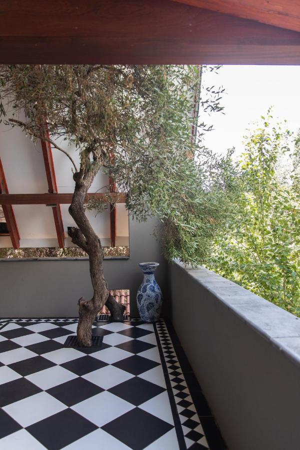 Bella Blue Guesthouse บลูมฟอนเทน ภายนอก รูปภาพ