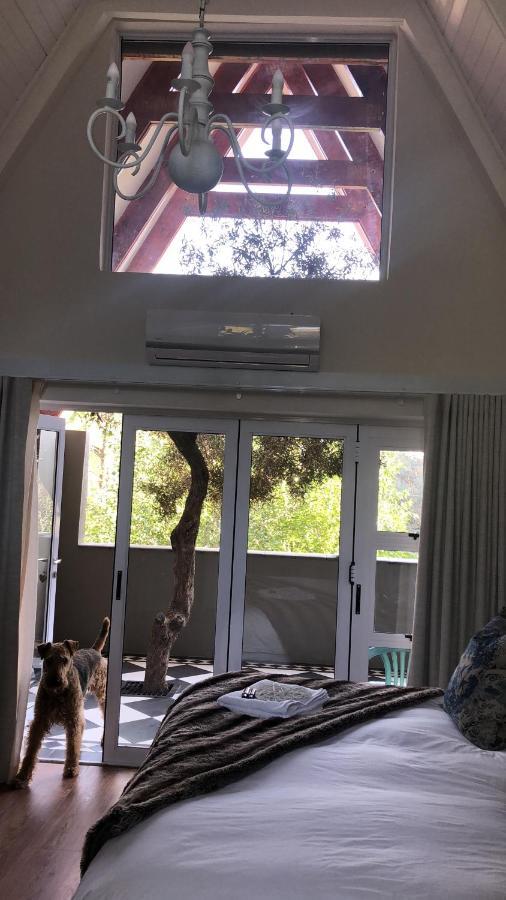 Bella Blue Guesthouse บลูมฟอนเทน ภายนอก รูปภาพ